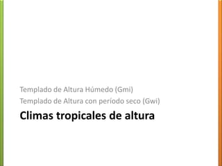 Vegetación de bosquehúmedoGrandes HelechosMangle BotoncilloMuy similar al de la selva amazónica, el bosque húmedo sin embargo pierde sus hojas durante la estación seca. Además de los helechos y los árboles de gran altura, en la zona del Delta del orinoco encontramos también manglares