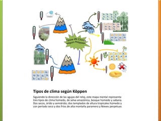Tipos de climasegúnKöppenSiguiendo la dirección de lasagujas del reloj, estemapa mental representatrestipos de climahúmedo, de selvaamazónica, bosquehúmedo y sabana. Dos secos, árido y semiárido; dos templados de alturatropicaleshúmedo y con períodoseco y dos fríos de altamontañaparamero y Nieves perpetuas