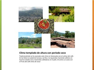 Flora característica del clima de sabanaArriba a la derecha: Samán; a la izquierda: Palma de Moriche; en el centro: Lirio de Agua: abajo a la izquierda: Alcornoque; a la derecha: Chaparro