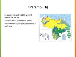 Clima Semiárido Tropical Clima transicional entre climas desérticos y climas de sabanaVegetación herbácea de ambiente xerófiloAltas temperaturasPrecipitaciones entre 250 a 400 mm anuales 