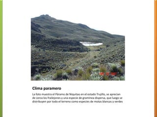 Semiárido Tropical (BShi)L a fotomuestra el paisaje de la Depresión de Carora (estado Lara) al fondo la sierra de Baragua, nótese lo seco del paisaje y la escasavegetación