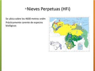 Fauna del clima semi árdioArriba a la izquierda: Iguana; a la derecha: cardenalitoAbajo a la izquierda: conejosabanero; a la derechacascabel