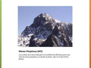 Desértico Tropical (BWhi) Muy escasa pluviosidad menos de 100 mm al añoAltas temperaturasIntensa insolación Bioma de desiertoSe ubica principalmente en las penínsulas de Araya, Paraguaná, Guajira y en las Islas venezolanas