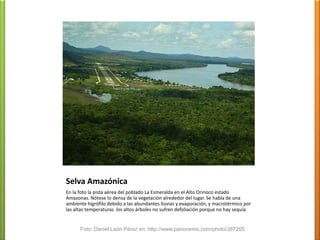 Semiárido