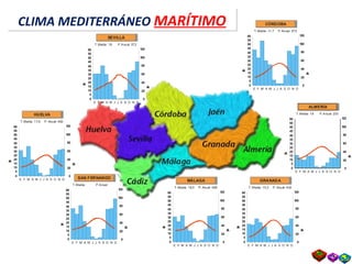 60
55
50
45
40
35
30
25
20
15
10
5
0
E F M A M J J A S O N D
T. Media: 15,3 P. Anual: 402
120
100
80
60
40
20
0
Temperaturas
Precipitacionesmm
GRANADA
60
55
50
45
40
35
30
25
20
15
10
5
0
E F M A M J J A S O N D
T. Media: 18,5 P. Anual: 469
120
100
80
60
40
20
0
Temperaturas
Precipitacionesmm
MÁLAGA
60
55
50
45
40
35
30
25
20
15
10
5
0
E F M A M J J A S O N D
T. Media: 17,9 P. Anual: 462
120
100
80
60
40
20
0
Temperaturas
Precipitacionesmm
HUELVA
60
55
50
45
40
35
30
25
20
15
10
5
0
E F M A M J J A S O N D
T. Media: 11,7 P. Anual: 572
120
100
80
60
40
20
0
Temperaturas
Precipitacionesmm
CÓRDOBA
60
55
50
45
40
35
30
25
20
15
10
5
0
E F M A M J J A S O N D
T. Media: 18 P.Anual: 230
120
100
80
60
40
20
0
Temperaturas
Precipitacionesmm
ALMERÍA
60
55
50
45
40
35
30
25
20
15
10
5
0
E F M A M J J A S O N D
T. Media: P.Anual:
120
100
80
60
40
20
0
Temperaturas
Precipitacionesmm
SAN FERNANDO
60
55
50
45
40
35
30
25
20
15
10
5
0
E F M A M J J A S O N D
T. Media: 18 P.Anual: 572
120
100
80
60
40
20
0
Temperaturas
Precipitacionesmm
SEVILLA
Clima árido
CLIMA MEDITERRÁNEO MARÍTIMOCLIMA MEDITERRÁNEO MARÍTIMO
 