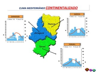 60
55
50
45
40
35
30
25
20
15
10
5
0
E F M A M J J A S O N D
T. Media: 13,5 P. Anual: 485
120
100
80
60
40
20
0
Temperaturas
Precipitacionesmm
HUESCA
60
55
50
45
40
35
30
25
20
15
10
5
0
E F M A M J J A S O N D
T. Media: 11,5 P. Anual: 381
120
100
80
60
40
20
0
Temperaturas
Precipitacionesmm
TERUEL
60
55
50
45
40
35
30
25
20
15
10
5
0
E F M A M J J A S O N D
T. Media: 14,6 P. Anual: 352
120
100
80
60
40
20
0
Temperaturas
Precipitacionesmm
ZARAGOZA
MEDITERRÁNEO
INTERIOR
MEDITERRÁNEO
INTERIOR
MEDITERRÁNEO
INTERIOR / ÁRIDO
CLIMA MEDITERRÁNEO CONTINENTALIZADOCLIMA MEDITERRÁNEO CONTINENTALIZADO
 