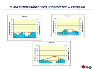 CLIMA MEDITERRÁNEO SECO, SUBDESÉRTICO o ESTEPARIOCLIMA MEDITERRÁNEO SECO, SUBDESÉRTICO o ESTEPARIO
 