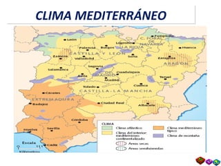 CLIMA MEDITERRÁNEOCLIMA MEDITERRÁNEO
 