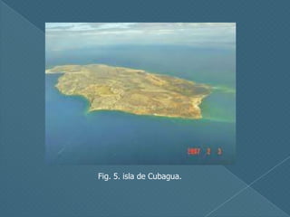 Fig. 5. isla de Cubagua.

 