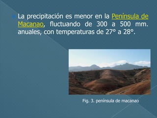 

La precipitación es menor en la Península de
Macanao, fluctuando de 300 a 500 mm.
anuales, con temperaturas de 27° a 28°.

Fig. 3. península de macanao

 