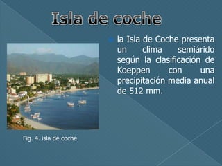 

Fig. 4. isla de coche

la Isla de Coche presenta
un
clima
semiárido
según la clasificación de
Koeppen
con
una
precipitación media anual
de 512 mm.

 