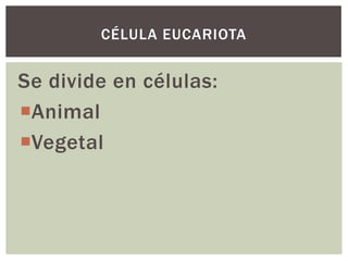 CÉLULA EUCARIOTA

Se divide en células:
Animal
Vegetal

 