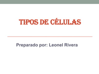 TIPOS DE CÉLULAS
Preparado por: Leonel Rivera
 