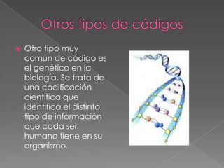 Tipos de códigos | PPTX | Programming Languages | Computing