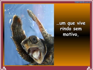 … um que vive rindo sem motivo , 