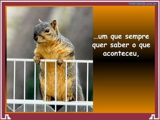 … um que sempre quer saber o que aconteceu, 