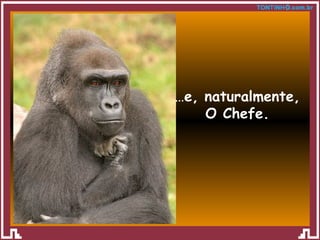 … e, naturalmente, O Chefe. 