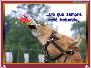 … um que sempre está bebendo, 