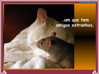 … um que tem amigos estranhos, 