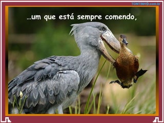 … um que está sempre comendo, 