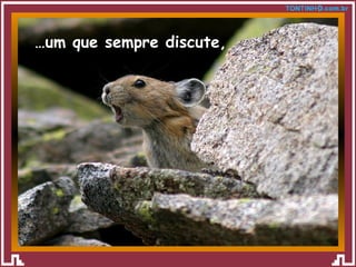 … um que sempre discute, 