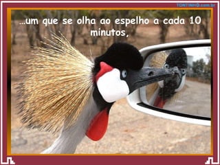 … um que se olha ao espelho a cada 10 minutos, 