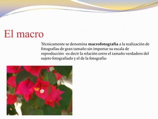 El macro
Técnicamente se denomina macrofotografía a la realización de
fotografías de gran tamaño sin importar su escala de
reproducción -es decir la relación entre el tamaño verdadero del
sujeto fotografiado y el de la fotografía-
 