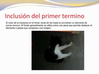 Inclusión del primer termino
El color de la mariposa en el fondo verde de las hojas la convierten un elemento de
primer termino. El fondo generalmente se utiliza como una pieza que permite destacar el
elemento o piezas que componen una imagen.
 