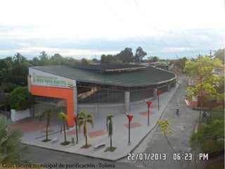 Gran tarima municipal de purificación -Tolima
 