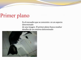 Primer plano
Es el encuadre que se concentra en un aspecto
determinado
de una imagen. El primer plano busca resaltar
detalles de un entorno determinado
 