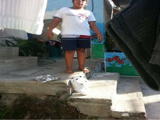 Tipos de compocicion