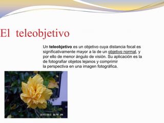 El teleobjetivo
Un teleobjetivo es un objetivo cuya distancia focal es
significativamente mayor a la de un objetivo normal, y
por ello de menor ángulo de visión. Su aplicación es la
de fotografiar objetos lejanos y comprimir
la perspectiva en una imagen fotográfica.
 