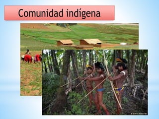 Tipos de comunidades