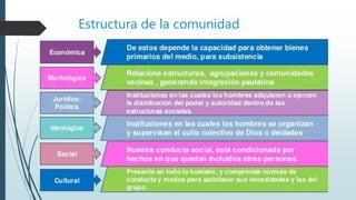 Estructura de la comunidad
 