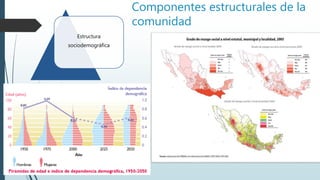 Componentes estructurales de la
comunidad
Estructura
sociodemográfica
 