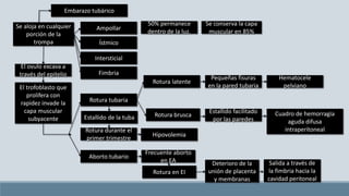 Embarazo tubárico
Se aloja en cualquier
porción de la
trompa
Ampollar
Ístmico
Intersticial
Fimbria
50% permanece
dentro de la luz.
Se conserva la capa
muscular en 85%
El ovulo excava a
través del epitelio
El trofoblasto que
prolifera con
rapidez invade la
capa muscular
subyacente
Rotura tubaria
Aborto tubario
Estallido de la tuba
Rotura durante el
primer trimestre
Hipovolemia
Rotura latente
Rotura brusca
Pequeñas fisuras
en la pared tubaria
Hematocele
pelviano
Estallido facilitado
por las paredes
Cuadro de hemorragia
aguda difusa
intraperitoneal
Frecuente aborto
en EA
Rotura en EI
Deterioro de la
unión de placenta
y membranas
Salida a través de
la fimbria hacia la
cavidad peritoneal
 