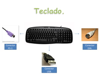 Conector
PS-2.
Conector
DIN.
Conector
USB.
 
