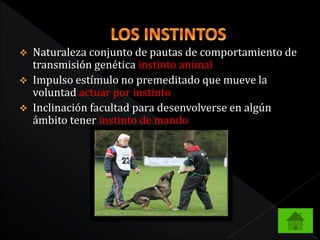  Naturaleza conjunto de pautas de comportamiento de 
transmisión genética instinto animal 
 Impulso estímulo no premeditado que mueve la 
voluntad actuar por instinto 
 Inclinación facultad para desenvolverse en algún 
ámbito tener instinto de mando 
 