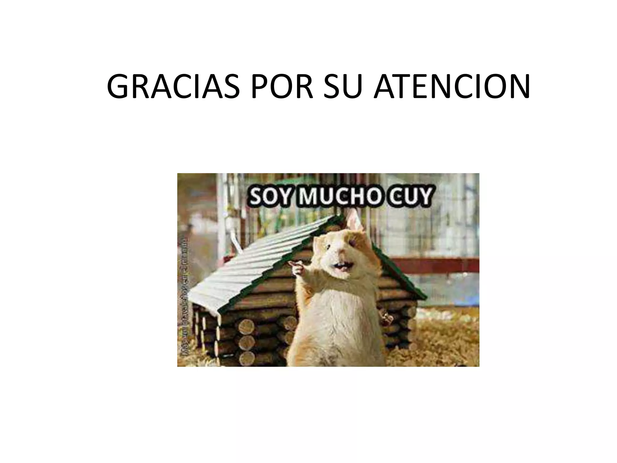 GRACIAS POR SU ATENCION
 