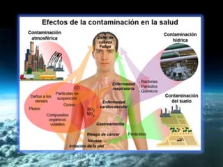 Tipos de contaminación los mas comunes