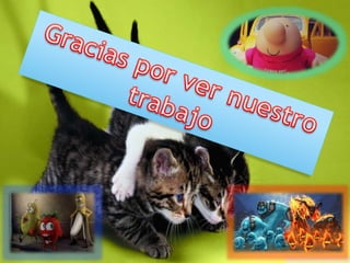 Tipos de contaminación los mas comunes