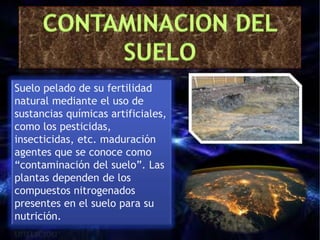 Suelo pelado de su fertilidad 
natural mediante el uso de 
sustancias químicas artificiales, 
como los pesticidas, 
insecticidas, etc. maduración 
agentes que se conoce como 
“contaminación del suelo”. Las 
plantas dependen de los 
compuestos nitrogenados 
presentes en el suelo para su 
nutrición. 
 