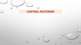 TIPOS DE CONTROL INTERNO, LEY 27785.pptx