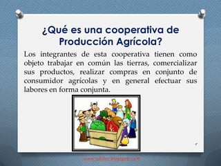 ¿Qué es una cooperativa de
Producción Agrícola?
Los integrantes de esta cooperativa tienen como
objeto trabajar en común las tierras, comercializar
sus productos, realizar compras en conjunto de
consumidor agrícolas y en general efectuar sus
labores en forma conjunta.
9
www.cdillos.blogspot.com
 
