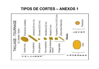 TIPOS DE CORTES – ANEXOS 1
 