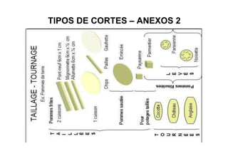 TIPOS DE CORTES – ANEXOS 2
 