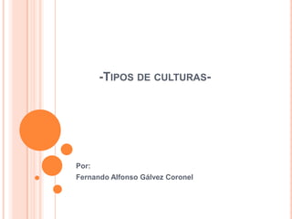 -TIPOS DE CULTURAS-

Por:
Fernando Alfonso Gálvez Coronel

 