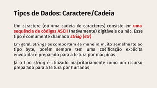 Fundamentos de Programação: Tipos de Dados e Manipulação em Python | PDF