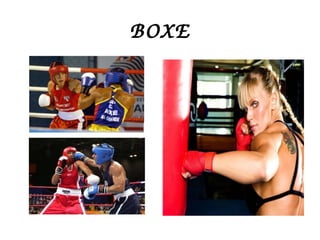 BOXE 