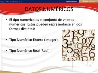 DATOS NUMÉRICOS,[object Object],El tipo numérico es el conjunto de valores numéricos. Estos pueden representarse en dos formas distintas: ,[object Object],Tipo Numérico Entero (Integer),[object Object],Tipo Numérico Real (Real),[object Object]
